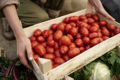 Banner de la categoría Tomate Triturado