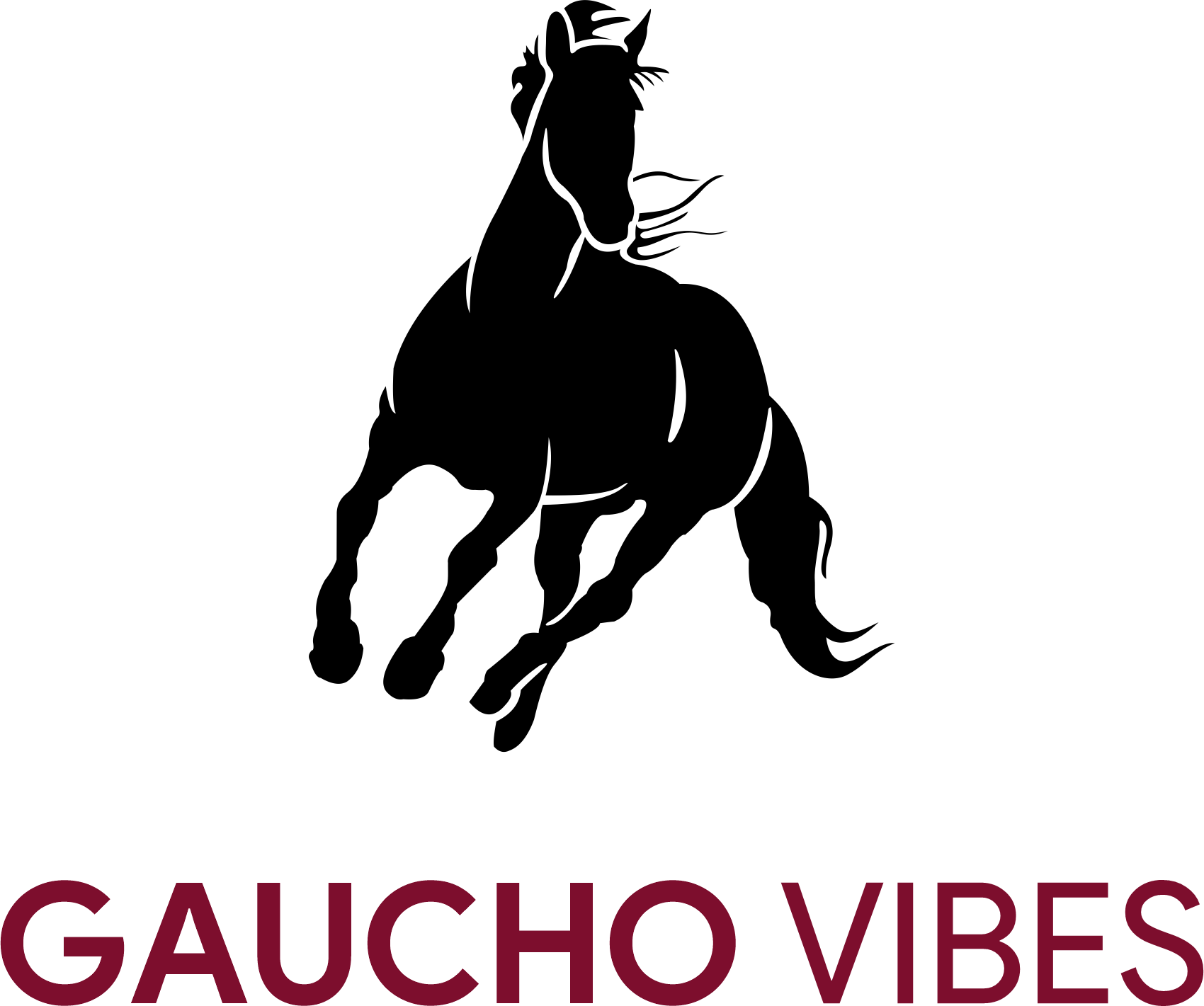 Gaucho Vibes