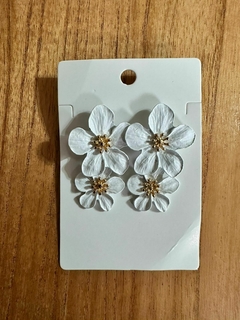 Imagen de Aretes- Aros- Zarcillos