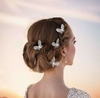 Horquillas- Stras-Flores