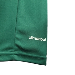 Camisa Retrô Palmeiras Edição Aniversário de 100 anos 2014/2015 - Torcedor Adidas Masculina - Verde com detalhes em dourado - comprar online