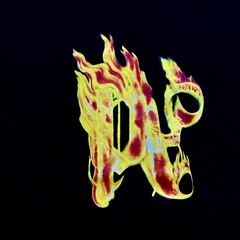 Playera palm angels / Fire palm - Ollie Taco Shop