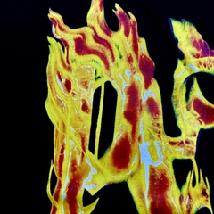 Playera palm angels / Fire palm en internet
