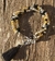 Pulseras cristal de roca - comprar online