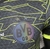Camisa Borussia dortmund edição especial 2024/25 - comprar online