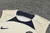 Kit Regata PSG Bege - loja online