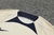 Kit PSG Bege - loja online