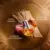 Azzaro Wanted Girl Eau de Parfum - REFINATTO ESSENSE