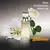 Eternity Calvin Klein Eau de Parfum na internet