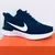 Nike Revolution