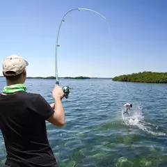 Sougayilang 2 1m 3 6m vara de pesca giratória truta de carbono carpa vara de pe - comprar online