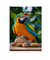 Quadro Decorativo Arara - comprar online