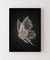 Quadro Decorativo Borboleta Renda na internet