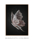 Quadro Decorativo Borboleta Renda - comprar online