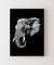 Quadro Decorativo Elefante II na internet