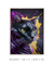 Imagem do Quadro Decorativo Gato Color