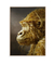 Quadro Decorativo Gorila Dourado - comprar online