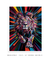 Quadro Decorativo Leao Color - TOTTEM QUADROS