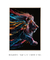 Imagem do Quadro Decorativo Lion Colorful