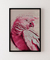 Quadro Decorativo Parrot na internet