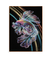Quadro Decorativo Peixe Beta I - comprar online