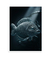 Quadro Decorativo Peixe II - comprar online