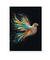 Quadro Decorativo Pomba Colorida - comprar online