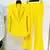 Imagem do Conjunto designer de passarelas feminino, blazer de botão único e calça