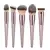 Conjunto de 4 ou 10 pincéis de maquiagem, cor champanhe, para cosméticos, pó, - loja online