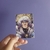 Honkai Star Rail Photocard