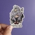 Honkai: Star Rail Stickers
