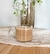 Taza David