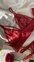 Conjunto de Lingerie Com Cinta Liga em Tule - Vermelho - Petalas de amor - Lcmodaaintima 