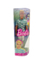 Imagem do Ken Barbie