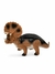 Dinossauros Evolução - loja online