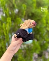 Cachorro Salsicha Pelúcia - comprar online