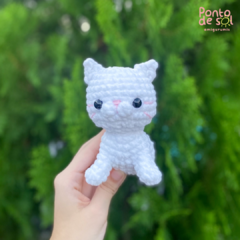 Gato Pelúcia na internet