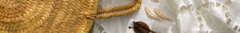 Banner de la categoría Moda Sostenible