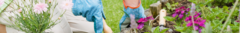 Banner de la categoría Jardín