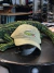 LACOSTE BIG CROCK