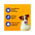 Sachê Pedigree Carne ao Molho para Cães Adultos Sênior 7+ Anos - 100g