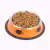 Tigela de Aço inoxidável para gatos - comprar online