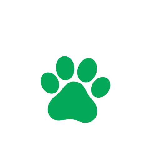 Ícone