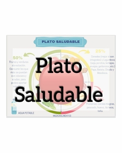 PLATO SALUDABLE