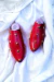 Ziggy Red Mule en internet