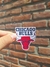 chicago bulls