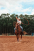 Camiseta Agrobrothers Team Roping na internet