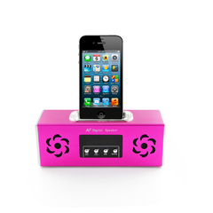 Bocina Fm Lector Memoria Sd Usb Metal