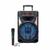 PARLANTE 12” MODELO-603 – NEGRO - comprar online