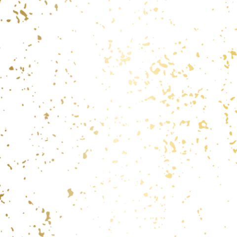 JL STORE